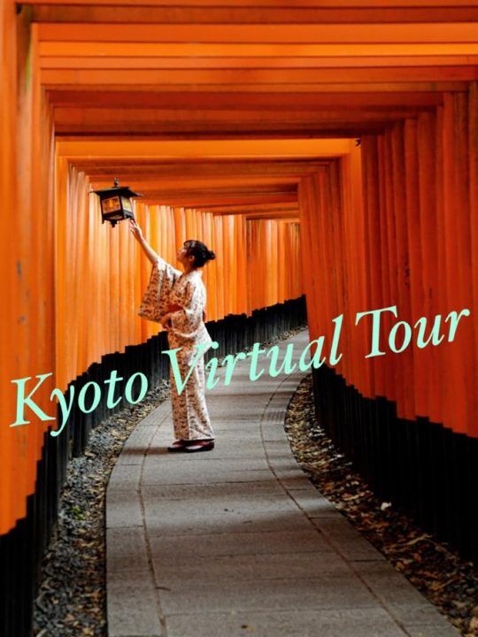 Interactive Virtual Travel Over The World