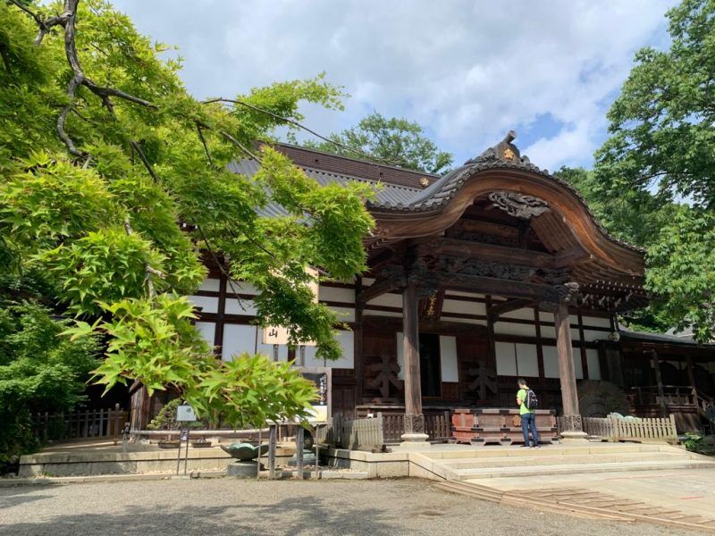 Interactive Virtual Travel Over The World