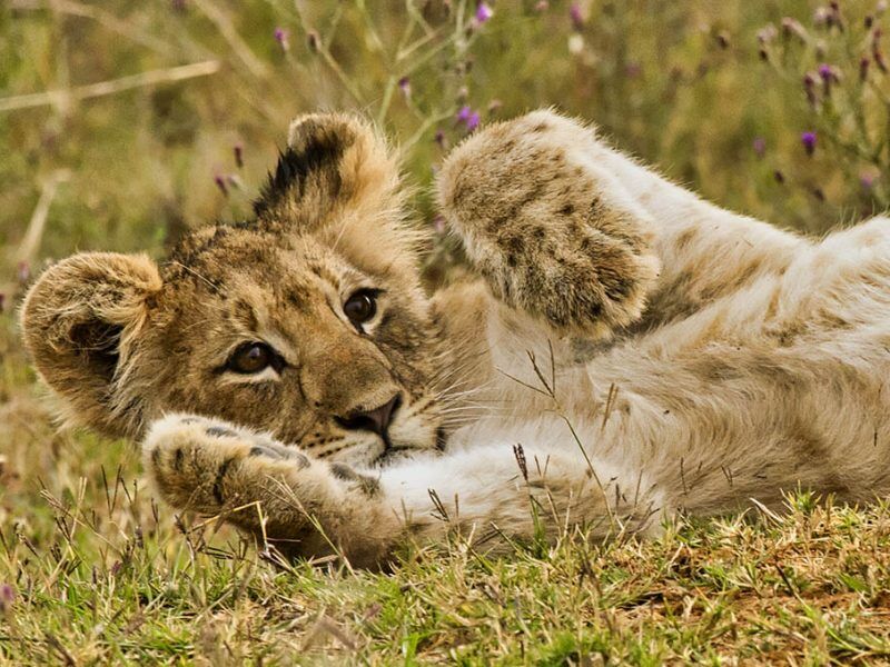 Interactive Virtual Travel Over The World