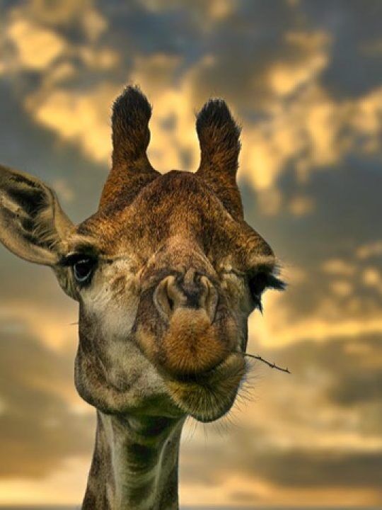 Interactive Virtual Travel Over The World