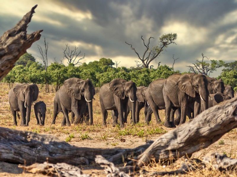 Interactive Virtual Travel Over The World