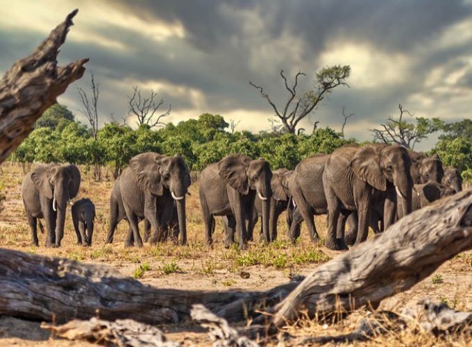 Interactive Virtual Travel Over The World