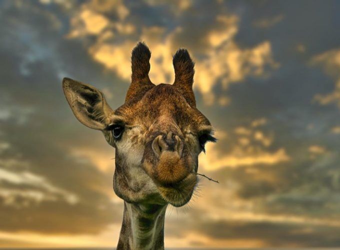 Interactive Virtual Travel Over The World