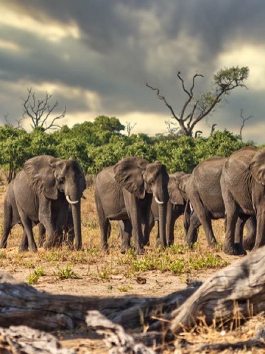 Interactive Virtual Travel Over The World